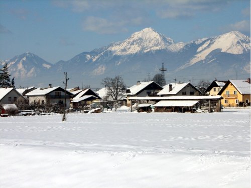 Topole pozimi.jpg